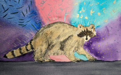 R is for Racoon